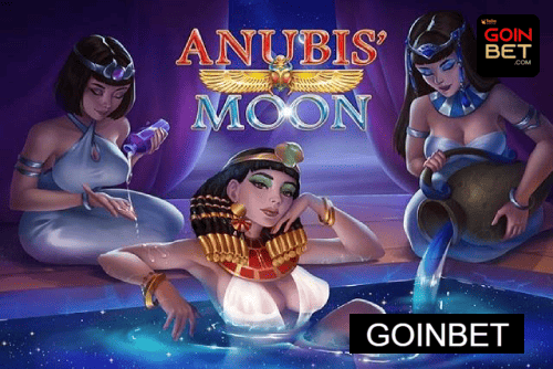 Multi-Sport Coverage